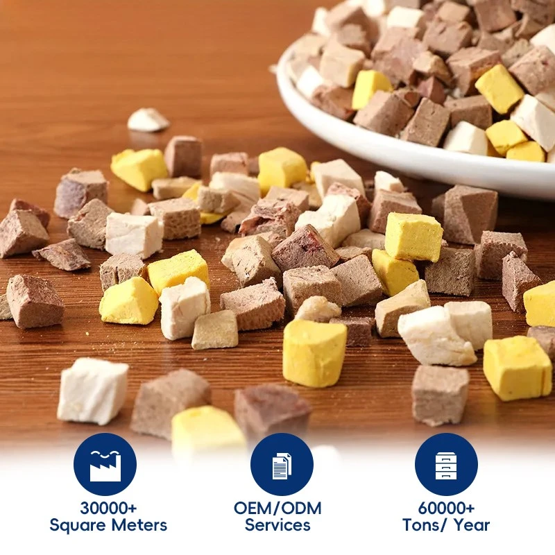 product-800-800 product-800-800