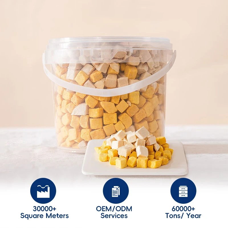 product-800-800 product-800-800